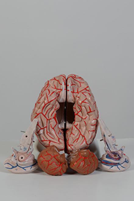 brain model