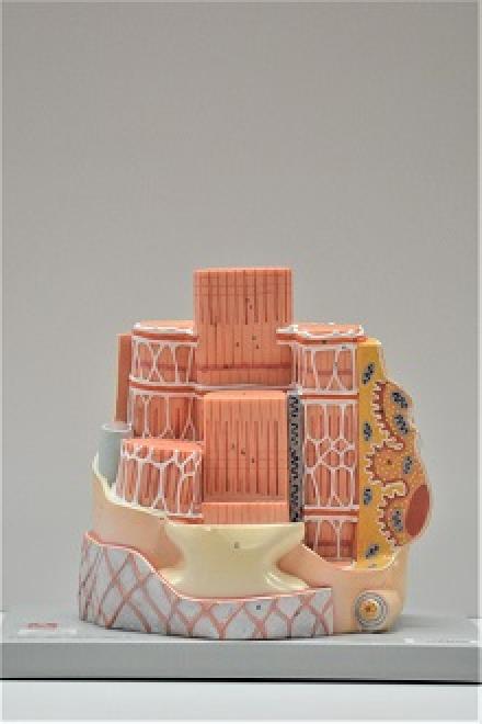 skeletal muscle fiber model